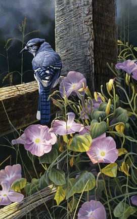 Framed Morning Glories Print