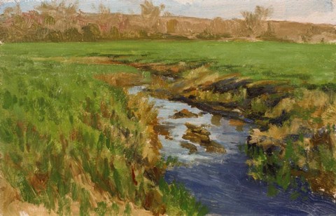 Framed Spring Fields Print