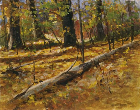 Framed Autumn Collage Print