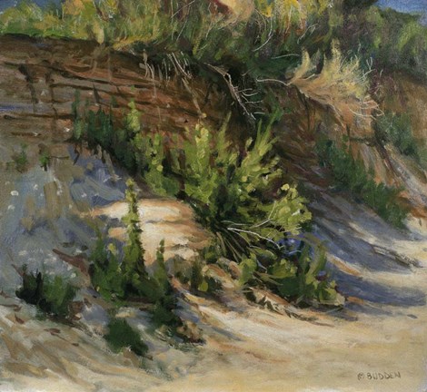 Framed Gull Island Print