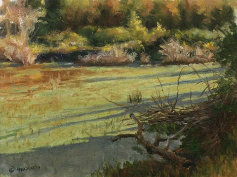 Framed Pond Shadows Print