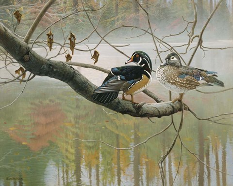 Framed Colors Of Autumn Print