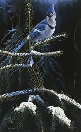 Framed Royal Dress Print