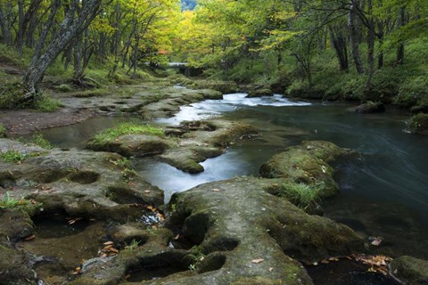 Framed Nikko 1 Print