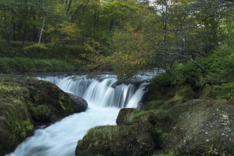 Framed Nikko 3 Print