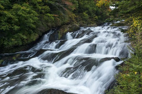 Framed Nikko 4 Print