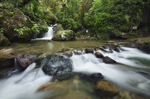 Framed Scotabato1 Print