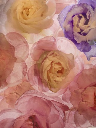 Framed Rosas Compo 2-2 Print