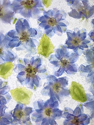 Framed Flores Congeladas 1 Print