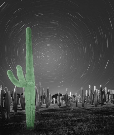 Framed Sonora - Pop Print