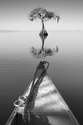 Framed Alone with my Tree II Print
