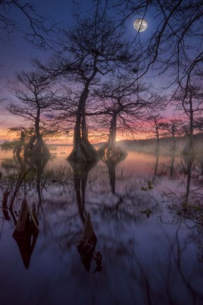 Framed Magic Sunset Print