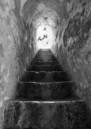 Framed Freedom Print