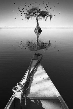 Framed My Tree Print