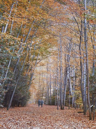 Framed Walking Print