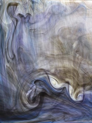 Framed Ephemeral Beauty 2 Print