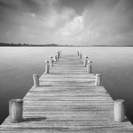 Framed Tierra Desnuda Print