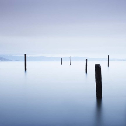 Framed 6 Postes en Sausalito Print