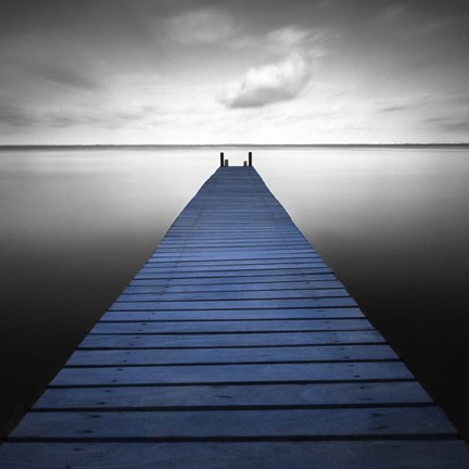 Framed Bull - Pop Print