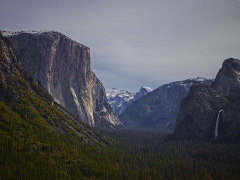 Framed Tunnel View Print