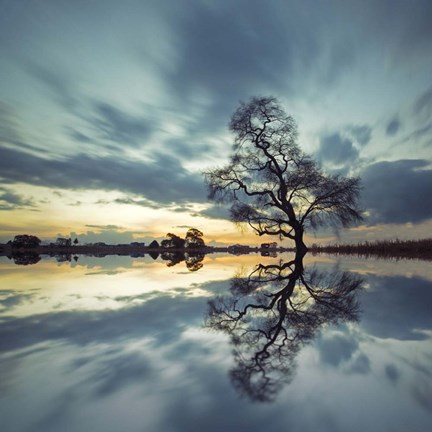 Framed Arbol Solitario en Temoaya Color Reflect Print