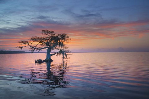 Framed Alone at Sunrise Print