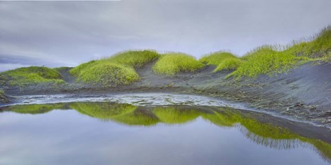 Framed Prados Verdes Print