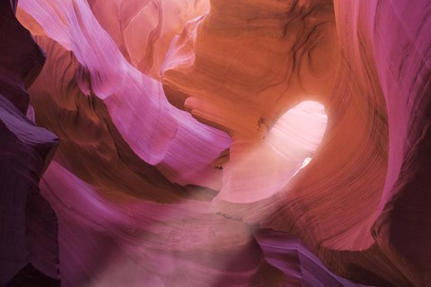 Framed Light on Antelope Print