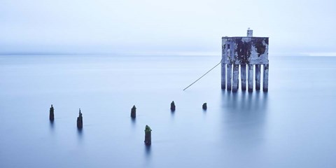 Framed My Pet Panoramic Print