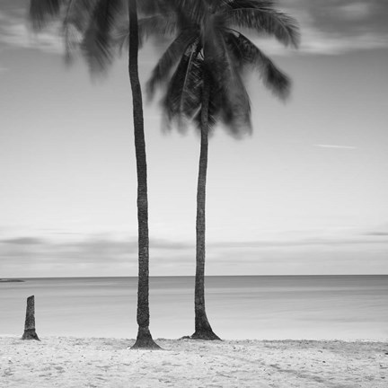 Framed 2 Palmeras Print