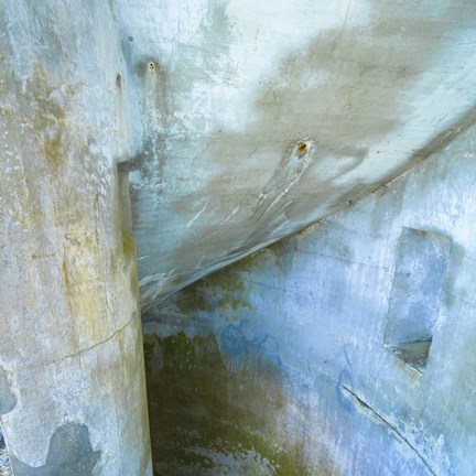 Framed Abstract Body Print