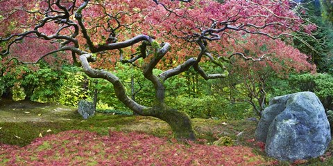 Framed Pink Tree Print