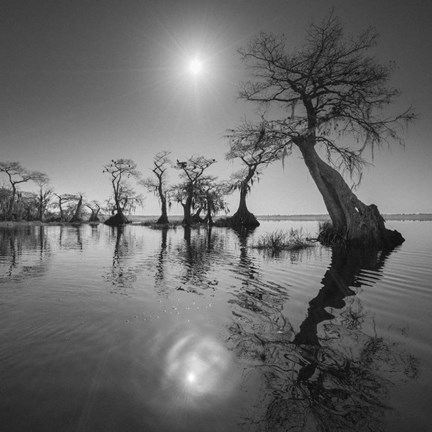 Framed Sunrise 2 Print