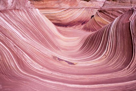 Framed Small Wave Print