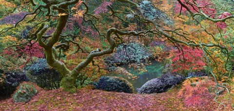 Framed Final Rainbow Tree Print