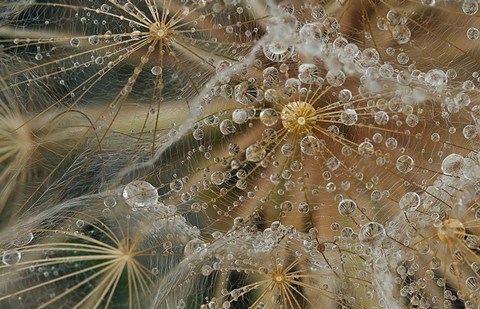 Framed Starless Print