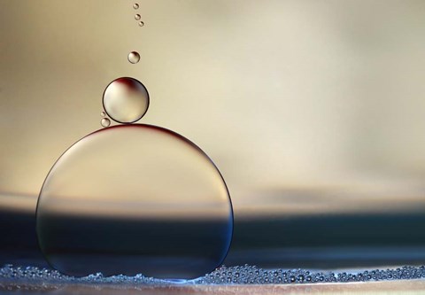 Framed Stragglers Print