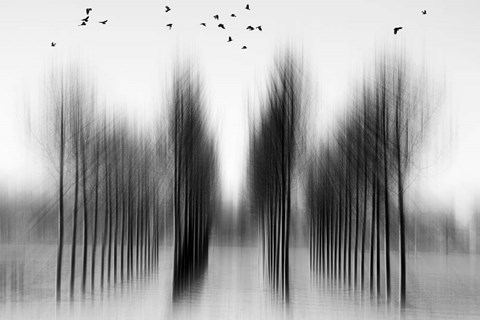 Framed Tree Architecture Print