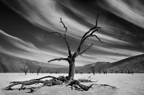 Framed Supervisor Print