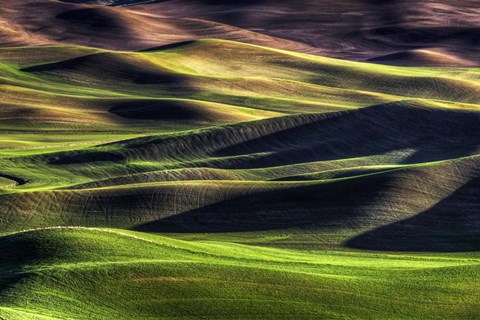 Framed Spring Palette Print