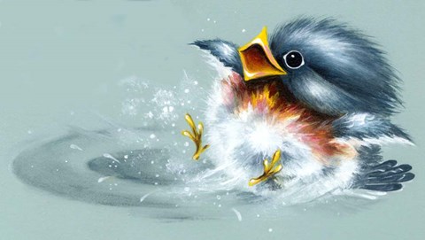 Framed April Showers - Bird Puddle Print