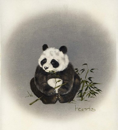 Framed Big Baby Print