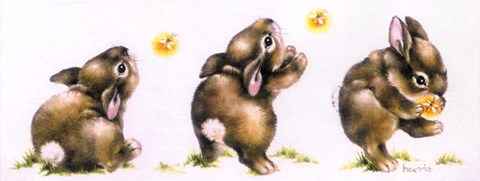 Framed Bunny And Lightning Bug Print