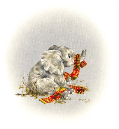 Framed Elephant Print