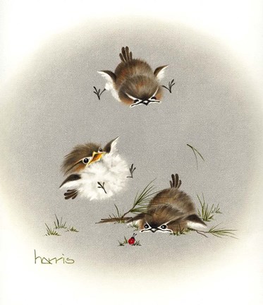 Framed Grounded Print