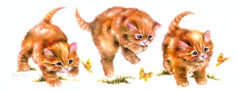 Framed Kitten And Butterfly Print