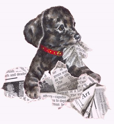Framed Newspaper Pup - 13A Print