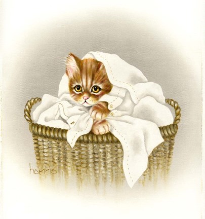 Framed Permanent Press Print