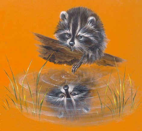 Framed Reflective Racoon - 35A Print