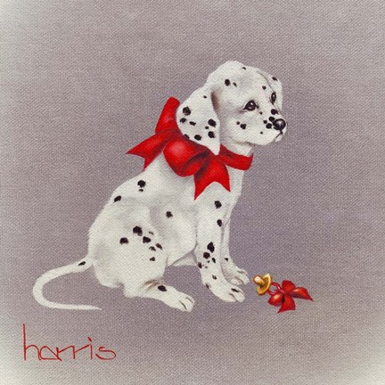 Framed Dalmation Pup Print